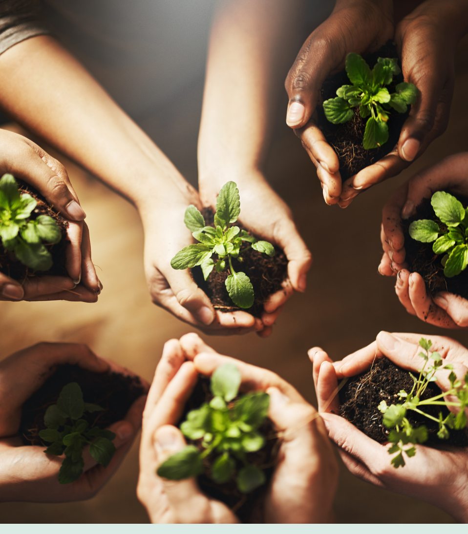 save our planet