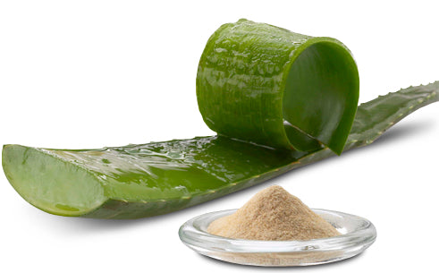 aloe vera - vegan makeup for rosacae