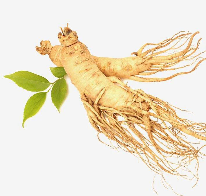 ginseng-min-compressed_1024x1024_dab605aa