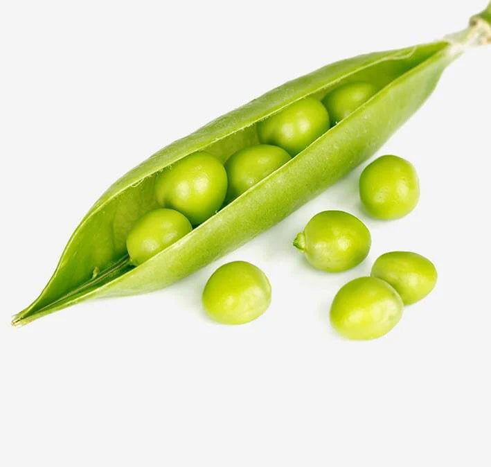 soja-min-compressed_1024x1024_0d88fbaa-6820