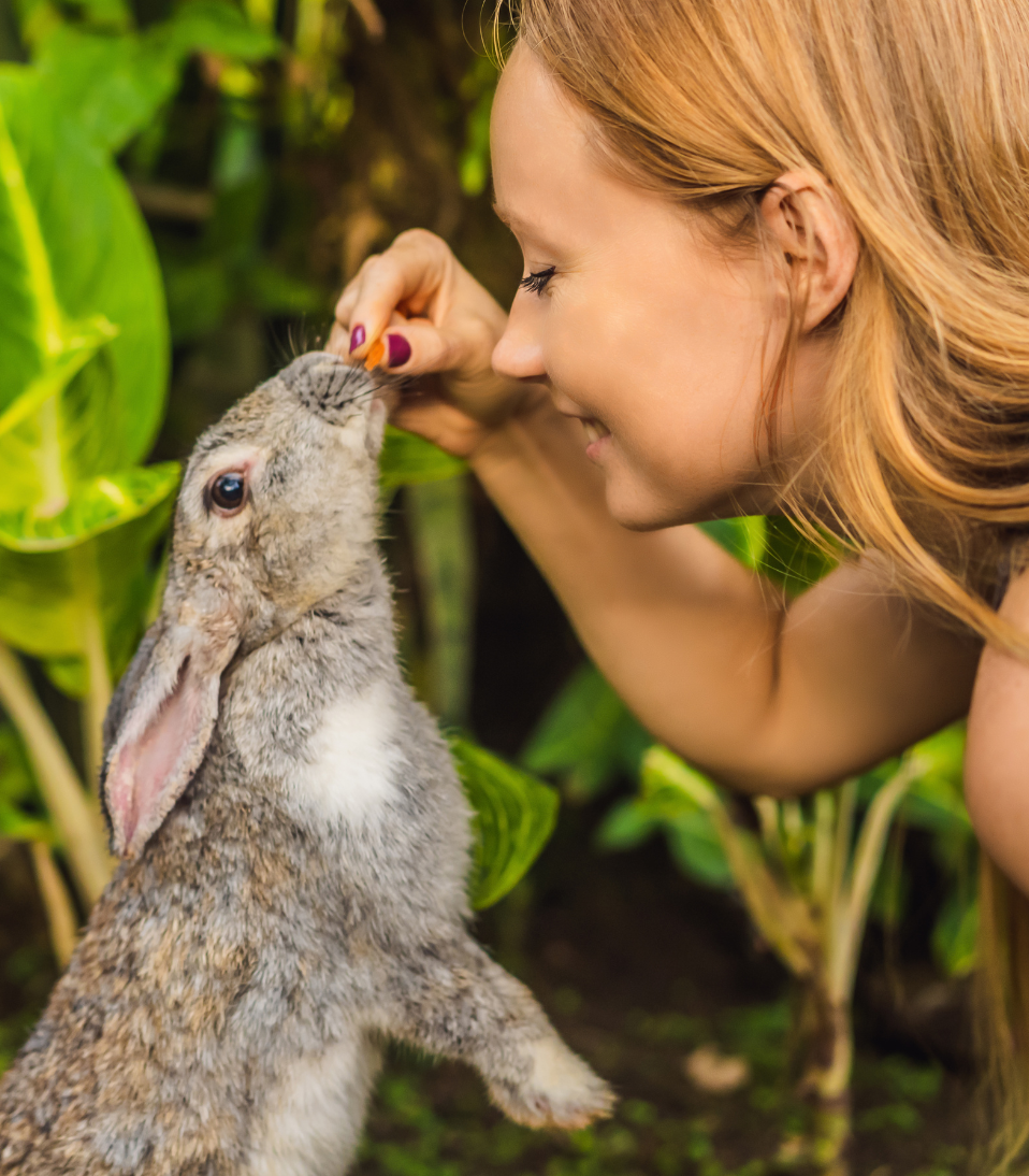 Cruelty-Free: Things You Need To Know About It