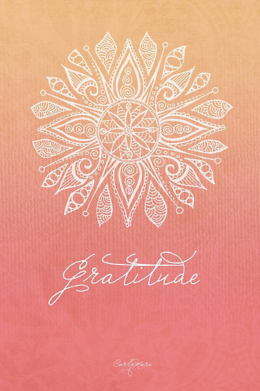 gratitude a new perspective