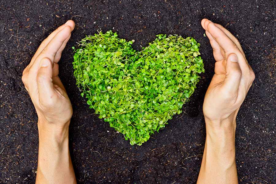 6 Ways to Adopt a More Eco-Friendly Beauty Routine