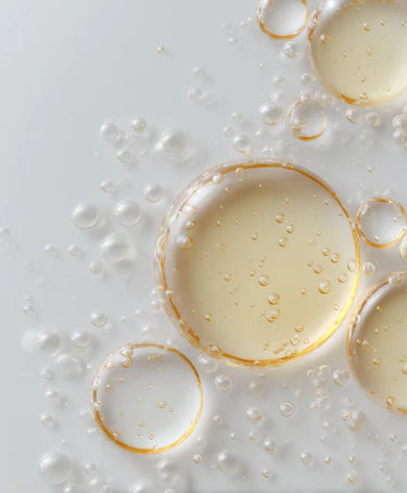 Lactobacillus Ferment Filtrate